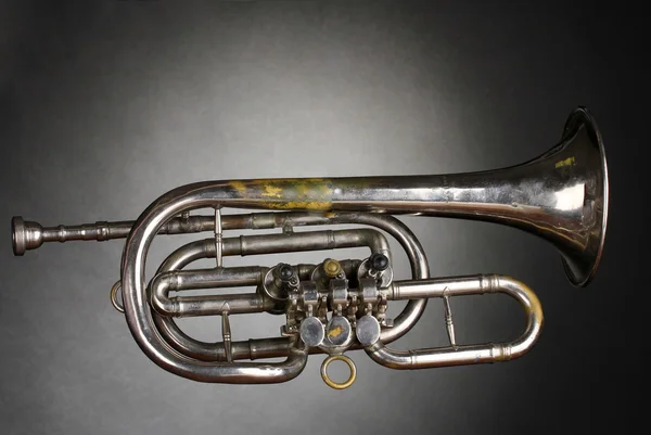 stock image Old trumpet on gray background
