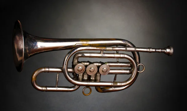 Gri zemin üzerine eski trompet — Stok fotoğraf