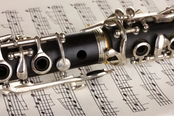 Dettaglio ravvicinato di clarinetto e taccuino con note — Foto Stock