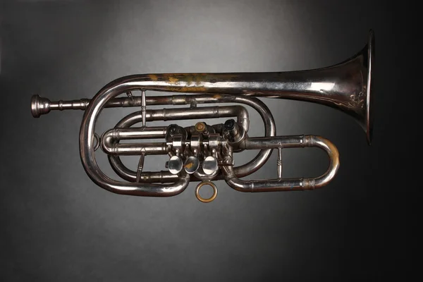 Vieille trompette sur fond gris — Photo
