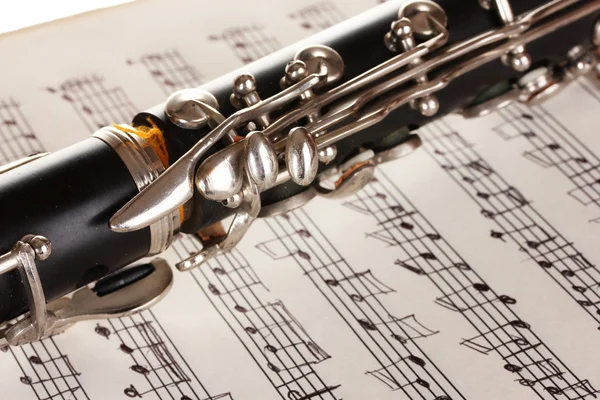 Close up detail of clarinet and notebook with notes — Stock Photo, Image