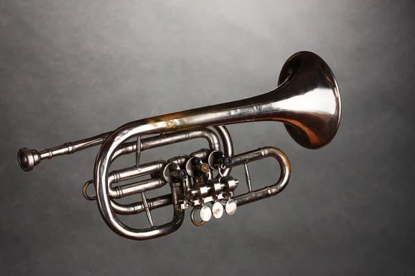 Gammal trumpet på grå bakgrund Royaltyfria Stockfoton