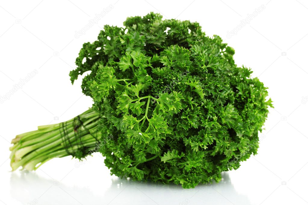 Fresh bunch of parsley isolated on white