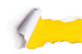 szakadt papír, sárga háttérrel