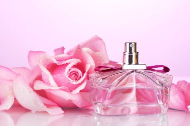 Perfume bottle and pink rose on pink clipart