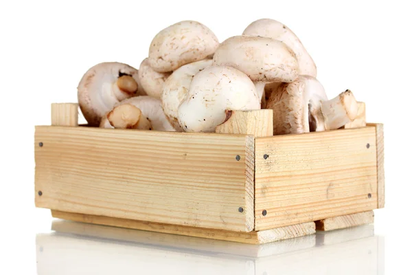 Funghi freschi in una scatola di legno isolata su bianco — Foto Stock