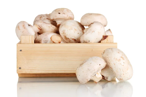 화이트에 고립 된 나무 상자에 신선한 버섯 — 스톡 사진
