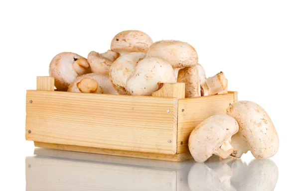 Cogumelos frescos em uma caixa de madeira isolada em branco — Fotografia de Stock