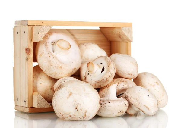 新鲜蘑菇在一个木箱上白色隔离 — 图库照片