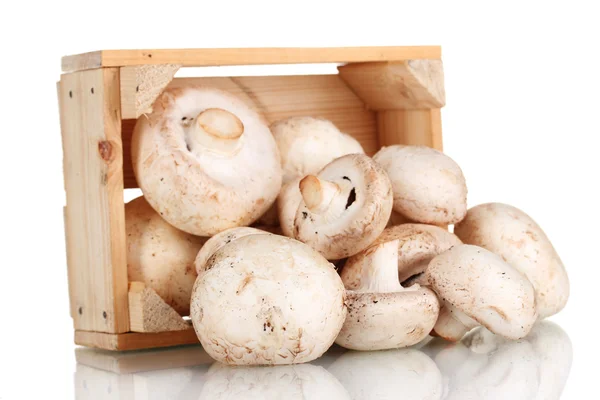 Čerstvé houby v dřevěné krabici, izolované na bílém — Stock fotografie