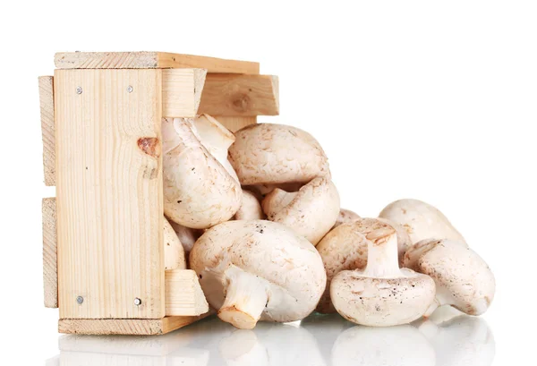 白で隔離される木製の箱で新鮮なキノコ — ストック写真