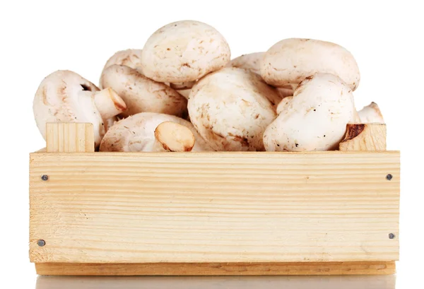 화이트에 고립 된 나무 상자에 신선한 버섯 — 스톡 사진
