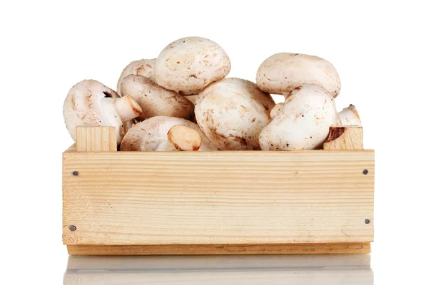 Čerstvé houby v dřevěné krabici, izolované na bílém — Stock fotografie