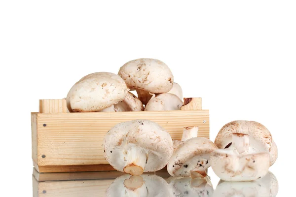 Tuoreet sienet valkoisella eristetyssä puulaatikossa — kuvapankkivalokuva