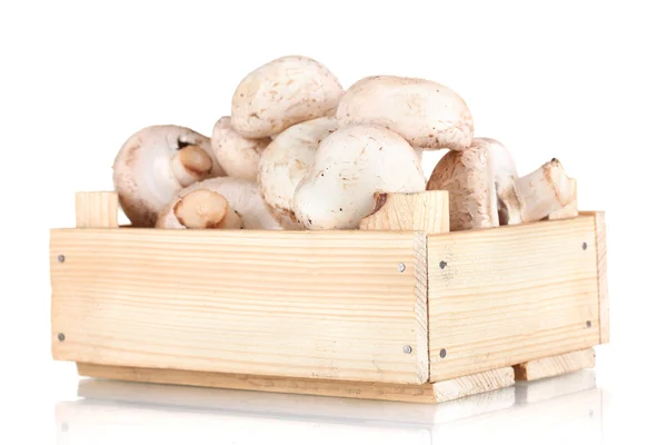Champignons frais dans une boîte en bois isolé sur blanc — Photo