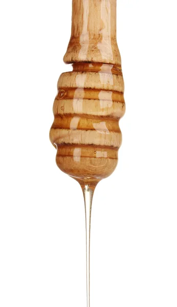 Houten honing Beer met honing geïsoleerd op wit — Stockfoto