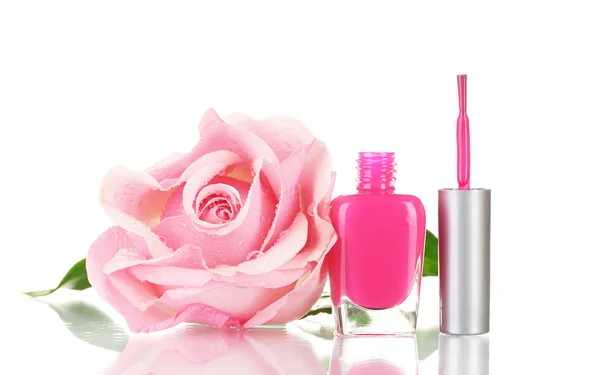 粉色漆和孤立白底粉红玫瑰 — 图库照片