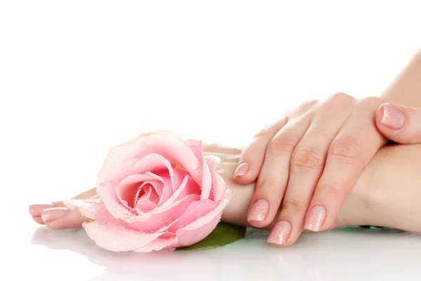 Ροζ τριαντάφυλλο με τα χέρια σε λευκό φόντο — Φωτογραφία Αρχείου