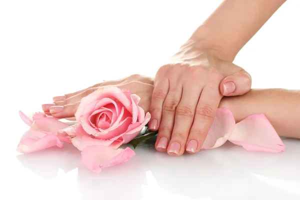 Różowa róża z rąk na białym tle — Zdjęcie stockowe
