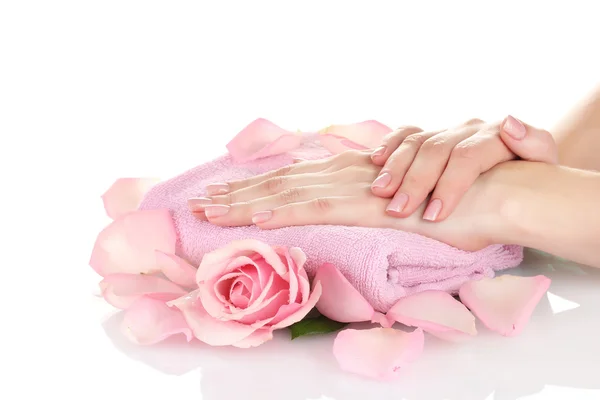 Рожева троянда з руками на білому тлі — стокове фото