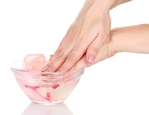Belas mãos femininas e pétalas de rosa — Fotografia de Stock