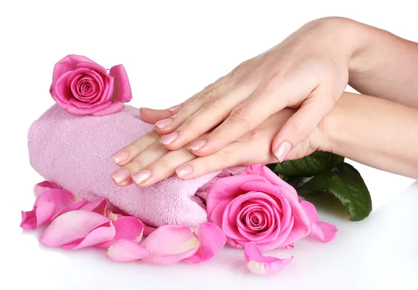 Rózsaszín törölköző rózsákkal és kezek fehér háttér — Stock Fotó