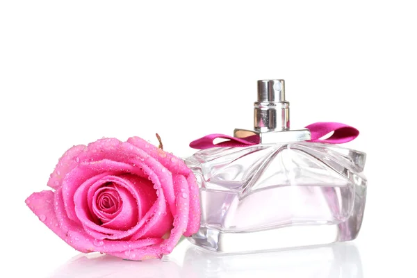 Perfume e rosas cor-de-rosa sobre fundo branco — Fotografia de Stock