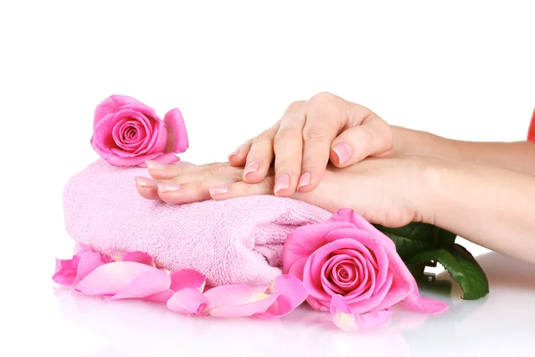 Różowy ręcznik z róż i ręce na białym tle — Zdjęcie stockowe