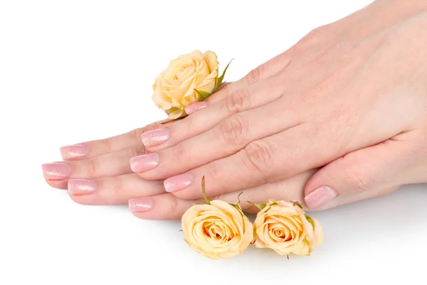Роза і руки ізольовані на білому — стокове фото