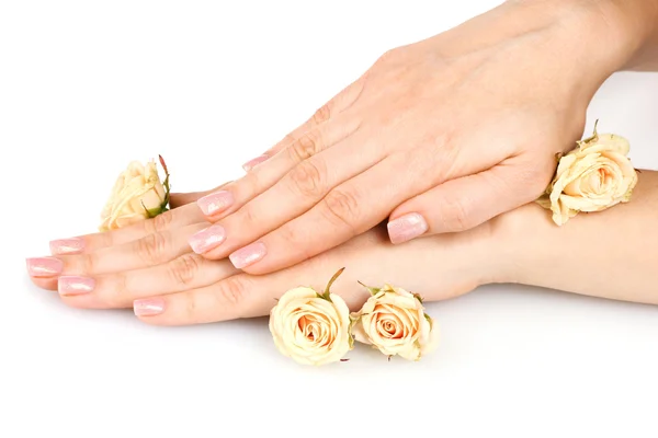Rose ve elleri üzerinde beyaz izole — Stok fotoğraf