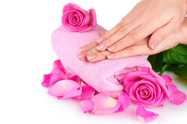 Ροζ πετσέτα με τριαντάφυλλα και τα χέρια σε άσπρο φόντο — Φωτογραφία Αρχείου