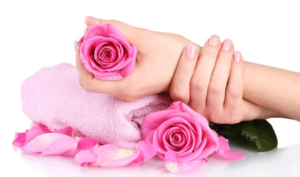 Pembe güller ve beyaz arka plan üzerinde el ile havlu — Stok fotoğraf
