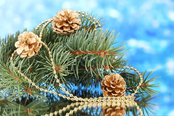 Groene kerstboom en kegels op blauw — Stockfoto