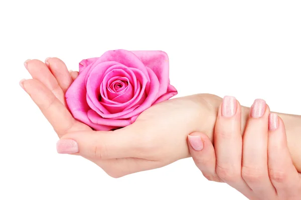Rosa em mãos isoladas em branco — Fotografia de Stock
