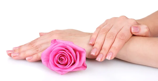 Τριαντάφυλλο και τα χέρια που απομονώνονται σε λευκό — Φωτογραφία Αρχείου