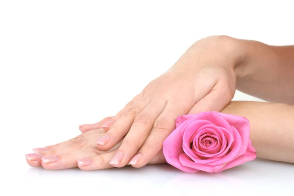 Rose a ruce izolovaných na bílém — Stock fotografie