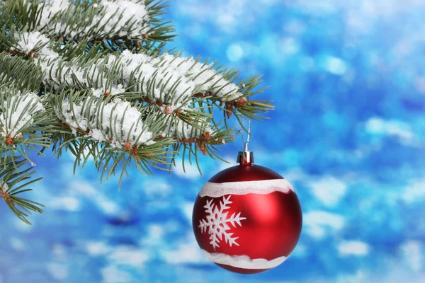 Bola de Natal na árvore em azul — Fotografia de Stock