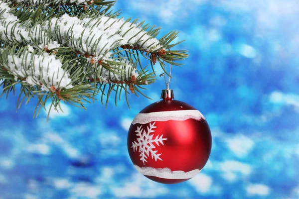 Palla di Natale sull'albero blu — Foto Stock