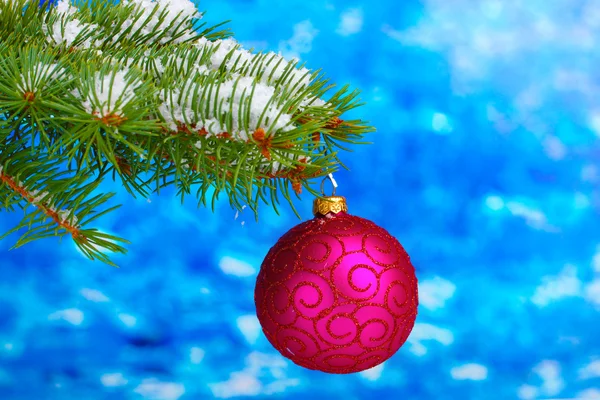 Kerstmis bal op de boom op blauw — Stockfoto