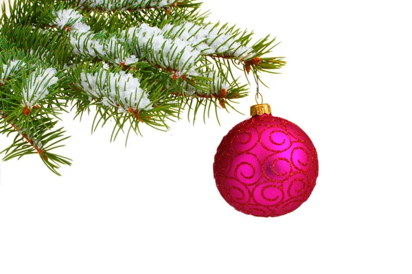 Χριστουγεννιάτικη Χοροεσπερίδα για το δέντρο που απομονώνονται σε λευκό — Φωτογραφία Αρχείου