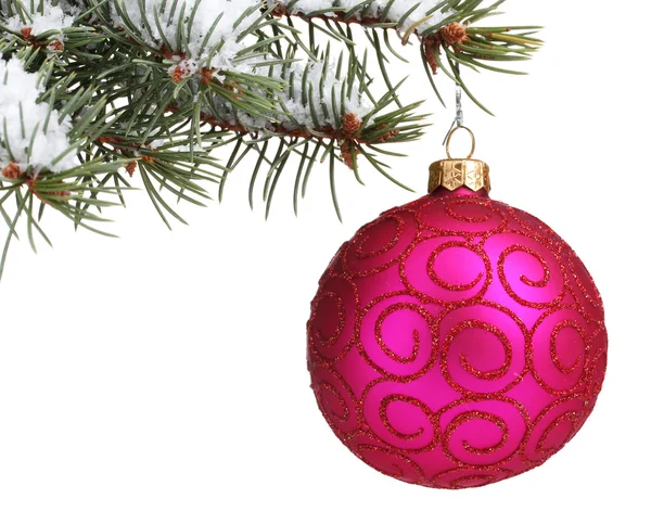 Різдвяний м'яч на дереві ізольований на білому — стокове фото