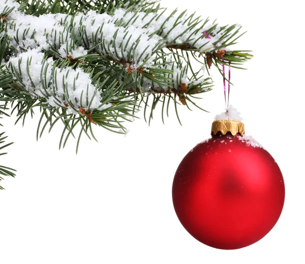 Boże Narodzenie Kula na drzewie, na białym tle — Zdjęcie stockowe
