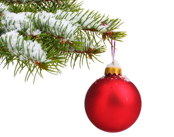 Bola de Natal na árvore isolada em branco — Fotografia de Stock