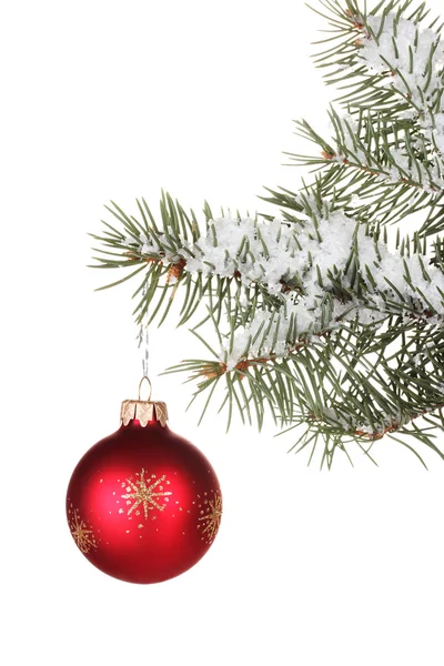 Christmas ball on the tree on white background — Stock Photo, Image