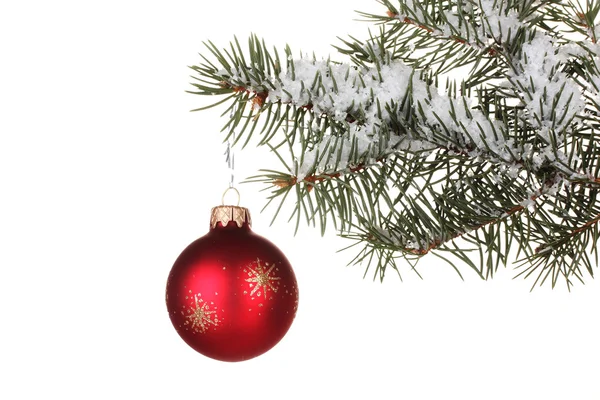Bola de Natal na árvore no fundo branco — Fotografia de Stock