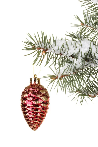 Cono de Navidad en el árbol sobre fondo blanco —  Fotos de Stock