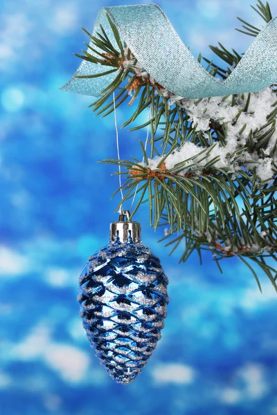 Vánoční kužel na stromě na modré — Stock fotografie