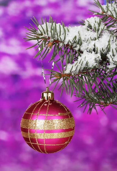 Kerstmis bal op de boom op paars — Stockfoto