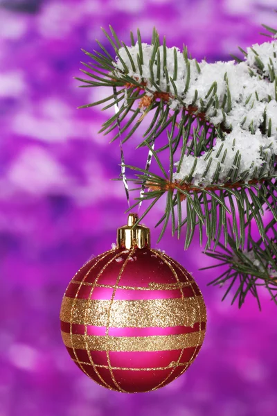 Christmas ball on the tree on purple — Stock Photo, Image