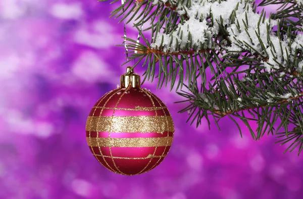 Christmas ball på trädet på lila — Stockfoto